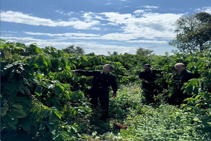 hỘI VIÊN BUÔN PAN